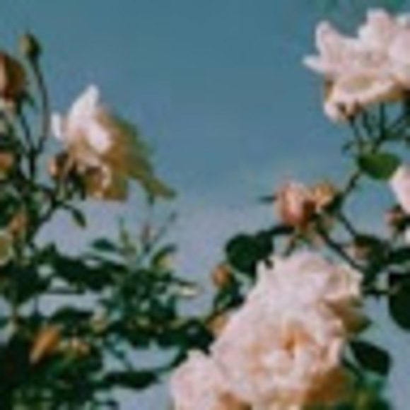 Meet your Posher, Skyia - Picture 1 of 1